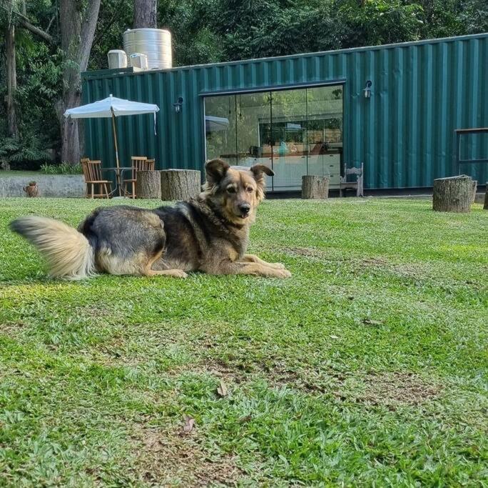 Casa Container Na Represa De Guarapiranga! Sonho! Villa São Paulo Ngoại thất bức ảnh